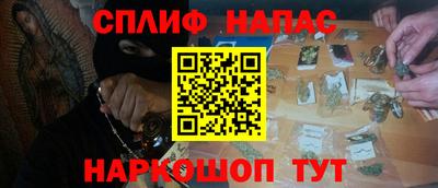 гидра Татарск