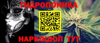 гидра Татарск