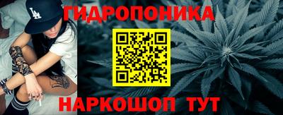 гидра Татарск