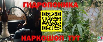 гидра Татарск