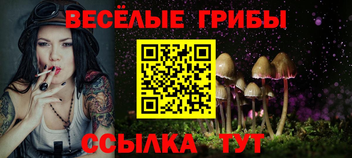Галлюциногенные грибы Cubensis Нововоронеж