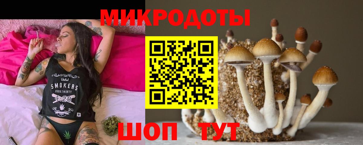 Нововоронеж  Псилоцибиновые грибы ЛСД  Псилоцибиновые грибы GOLDEN TEACHER  купить наркоту  Вход с VPN 